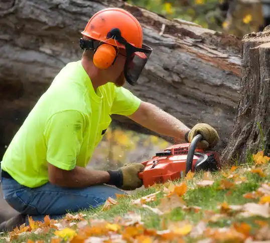 tree services Oak Ridge